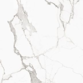 Producten/Alaplana/P.E.%20Statuario/ImageGallery/vloertegel-alaplana-pe-palladio-statuario-mat-satin-100x100-cm-gerectificeerd-marmerlook-doosinhoud-2-m2-palstat100100matwit-1.jpeg