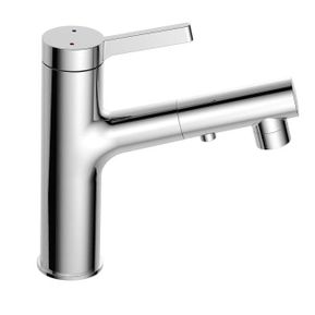 Producten/Best%20design/Chrome/ImageGallery/bestdesign-chrome-asproli-wastafelmengkraan-met-uittrekbare-sproeiuitloop-4006950-1.jpeg