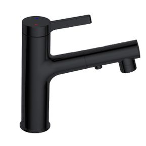 Producten/Best%20design/Nero/ImageGallery/bestdesign-asproliblack-wastafelmengkraan-met-uittrekbare-sproeiuitloop-nero-matzwart-4006960-1.jpeg