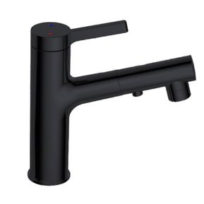 Producten/Best%20design/Unknown/ImageGallery/bestdesign-asproliblack-wastafelmengkraan-met-uittrekbare-sproeiuitloop-nero-matzwart-4006960-1.jpeg