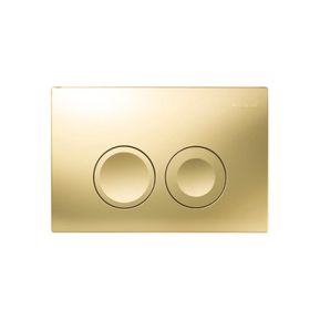 Producten/Boss%20&%20wessing/Delta%2025/ImageGallery/bedieningsplaat-delta-25-by-geberit-frontbediening-goud-33768166209-1.jpeg