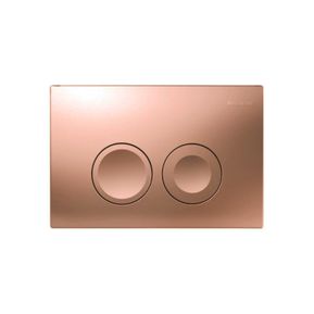 Producten/Boss%20&%20wessing/Delta%2025/ImageGallery/bedieningsplaat-delta-25-by-geberit-frontbediening-koper-33768166211-1.jpeg