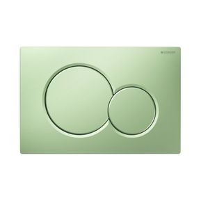 Producten/Boss%20&%20wessing/Sigma01/ImageGallery/bedieningsplaat-sigma-by-geberit-frontbediening-mat-mintgroen-33768101265-1.jpeg