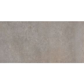 Producten/Cercom/Temper/ImageGallery/cercom-600x1200-temper-argent-1068316-1.jpeg