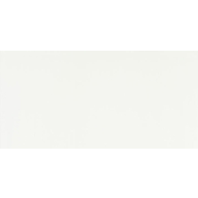 Producten/Colorker/Andes%20&%20Austral/ImageGallery/colorker-andes-austral-6450-wandtegel-295x595-blanco-97mm-mat-ret-doosinhoud-14-m2-6450-1.gif