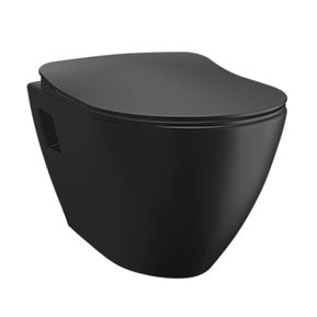Producten/Creavit/Eva/ImageGallery/design-ophang-wc-met-rvs-sproeier-bidet-mat-zwart-33768188935-1.jpeg