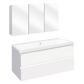 Producten/Differnz/The%20Collection/ImageGallery/badmeubelset-differnz-the-collection-100x43x61-cm-witwit-met-spiegelkast-niet-leverbaar-3610956-1.jpeg
