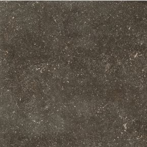 Producten/Douglas%20jones/Elemental/ImageGallery/douglas-jones-elemental-vloertegel-800x800-desir-10mm-mat-retr10-doosinhoud-128-m2-773380atmospheres-1.jpeg