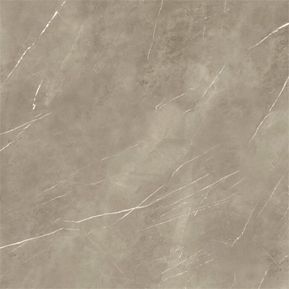 Producten/Energieker/Pietragrey/ImageGallery/energieker-pietragrey-taupe-nat-60x60-143640-1.jpeg