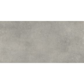Producten/Flaminia/Space/ImageGallery/vloertegel-flaminia-space-ash-30x60-cm-doosinhoud-108-m2-spaceash3060-1.jpeg