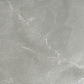 Producten/Florim/Timeless/ImageGallery/florim-timeless-744866-vloertegel-600x600-grey-9mm-mat-retr9-doosinhoud-108-m2-744866-1.jpeg