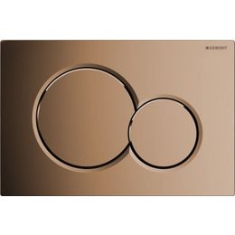 Producten/Geberit/Sigma%2001/ImageGallery/geberit-sigma-01-bedieningsplaat-sigma-01-df-frontbediend-246x164cm-tbv-sigma-inbouwreservoir-8-en-12cm-edelmessing-115770dt5-115770dt5-1.jpeg