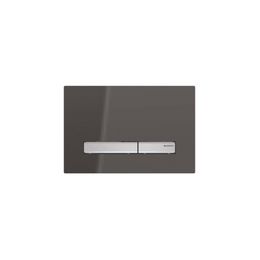 Producten/Geberit/Sigma%2050/ImageGallery/geberit-sigma-50-bedieningsplaat-df-frontbediend-246x164cm-spiegelend-rookglaschroom-115788sd2-115788sd2-1.jpeg