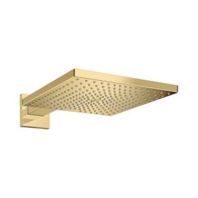 Producten/Hansgrohe/Raindance/ImageGallery/hansgrohe-raindance-e-hoofddouche-300-1jet-met-douchearm-26238990-1.jpeg