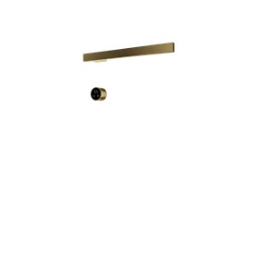 Producten/Hotbath/&More/ImageGallery/hotbath-more-set-van-1-rails-ras50-square-50-cm-met-separate-schakelaar-excl-inbouwelement-ras501bbp-geborsteld-messing-pvd-ras501bbp-1.png