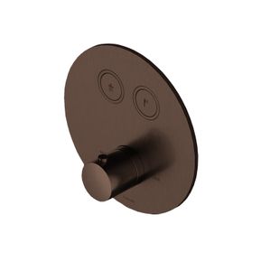 Producten/Hotbath/Cobber/ImageGallery/afbouwdeel-inbouwthermostaat-met-2-pushbuttons-ab-living-colours-vormen-een-poetsbaar-patina-pb009extab-1.jpeg
