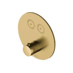 Producten/Hotbath/Cobber/ImageGallery/afbouwdeel-inbouwthermostaat-met-2-pushbuttons-bb-living-colours-vormen-een-poetsbaar-patina-pb009extbb-1.jpeg