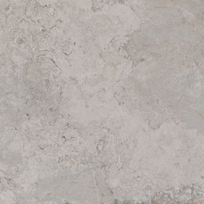 Producten/Pamesa/Erding/ImageGallery/120x120-eserding-ash-017120034400714-1.jpeg