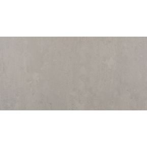 Producten/Ragno/Concept/ImageGallery/ragno-concept-r28g-vloertegel-300x600-grigio-95mm-mat-retr10-doosinhoud-108-m2-r28g-1.jpeg