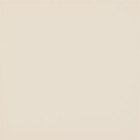 Producten/Rako/Color%20One/ImageGallery/rako-color-one-waa19008-wandtegel-148x148-beige-6mm-glans-doosinhoud-1-m2-waa19008-1.jpeg