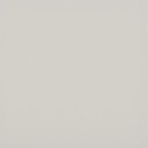 Producten/Rako/Color%20One/ImageGallery/rako-color-one-waa19210-wandtegel-148x148-grey-6mm-mat-doosinhoud-1-m2-waa19210-1.jpeg
