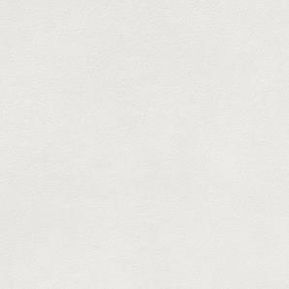 Producten/Rako/Extra/ImageGallery/rako-extra-dar34722-vloertegel-298x298-white-8mm-mat-r10-doosinhoud-118-m2-dar34722-1.jpeg
