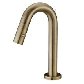 Producten/Salenzi/Giro/ImageGallery/fonteinkraan-opbouw-salenzi-giro-gebogen-gegalvaniseerd-geborsteld-messing-goud-9aj15gbme06-1.jpeg