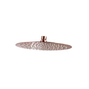 Producten/Sani-supply/Mia/ImageGallery/hoofddouchekop-ultra-thin-brons-rond-25-cm-6076-1.jpeg