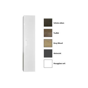 Producten/Sanicare/Q6/ImageGallery/kolomkast-sanicare-q6q14q16-1-softclosing-deur-160x335x32-cm-greywood-3605160q-1.jpeg