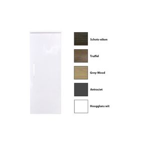 Producten/Sanicare/Q6/ImageGallery/kolomkast-sanicare-q6q14q16-softclose-deur-chromen-greep-90x335x32-cm-schotseiken-3603090q-1.jpeg