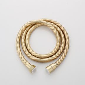 Producten/Saninova/Gold/ImageGallery/saninova-brass-doucheslang-150cm-geborsteld-messing-mat-goud-sk24886-1.jpeg