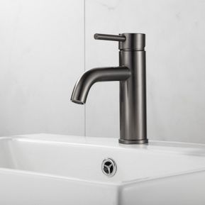 Producten/Saninova/Plus/ImageGallery/saninova-plus-wastafelkraan-verouderd-ijzer-gunmetal-sk35604-1.jpeg