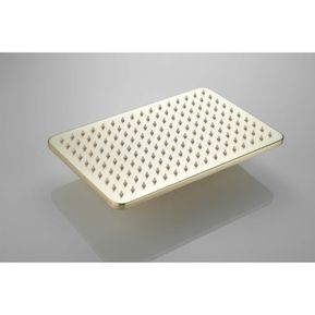 Producten/Saninova/Vision/ImageGallery/saninova-vision-rechthoekige-douchekop-30x20cm-messing-geborsteld-goud-mat-sk36405-1.jpeg