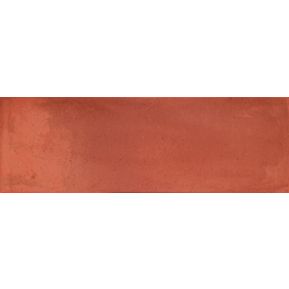 Producten/Superceramica/Hydra/ImageGallery/hydra-rood-20x60-144-m2-hyd006-1.jpeg