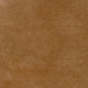 Producten/Superceramica/ZOO/ImageGallery/zoo-safari-bruin-45x45-zoo008-1.jpeg