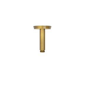 Producten/Tres/Complementos%20de%20ducha/ImageGallery/tres-complementos-de-ducha-aged-brass-wandarm-klassiek-voor-douchekop-lengte-115-mm-29933702lv-1.jpeg