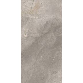 Producten/Ts-tiles/Stonemaster/ImageGallery/vloertegel-tstiles-stonemaster-silver-60x120-cm-doosinhoud-143m2-005152-1.jpeg