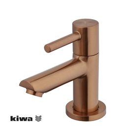 Producten/Wiesbaden/Caral/ImageGallery/caral-amador-fonteinkraan-kiwa-12-geborsteld-brons-koper-pvd-222725-1.jpeg