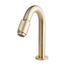 Producten/Wiesbaden/Caral/ImageGallery/caral-victoria-fonteinkraan-12-geborsteld-messing-pvd-225730-1.jpeg