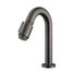 Producten/Wiesbaden/Caral/ImageGallery/caral-victoria-fonteinkraan-12-gunmetal-pvd-227730-1.jpeg