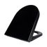 Producten/Wiesbaden/Vesta/ImageGallery/vesta-toiletzitting-softclose-en-quick-release-mat-zwart-323764-1.jpeg